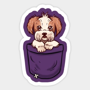 Pocket Shih Tzu Puppy Sticker